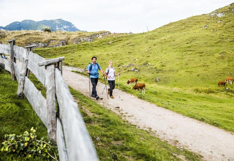 Wandern-in-den-Kitzbueheler-Alpen