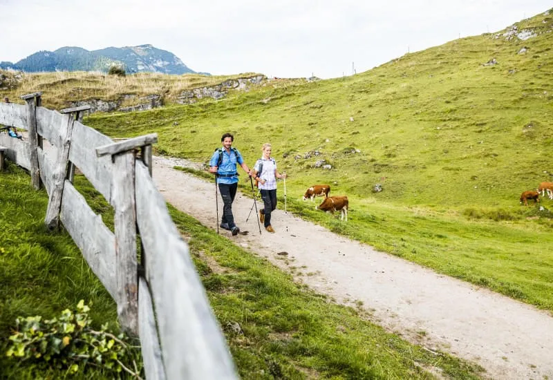 Wandern-uebers-Kitzbueheler-Horn